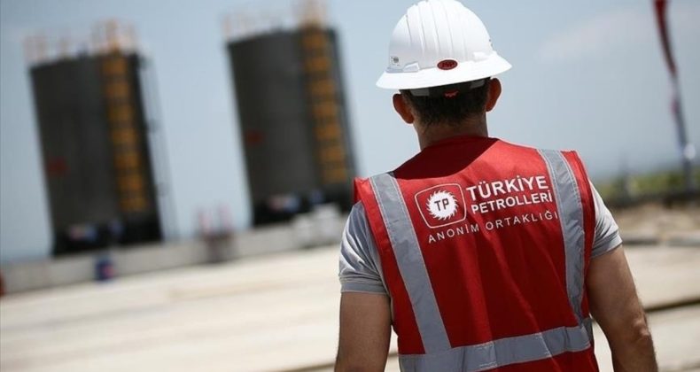 TPAO Hazar Denizi’nde Gaz Sahasına Ortak Oldu