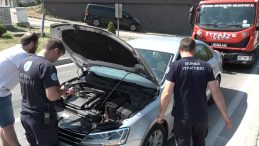 Trafiği Durduran Yavru Kedi Herkesi Şaşırttı