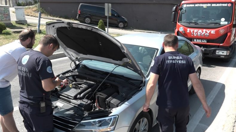 Trafiği Durduran Yavru Kedi Herkesi Şaşırttı
