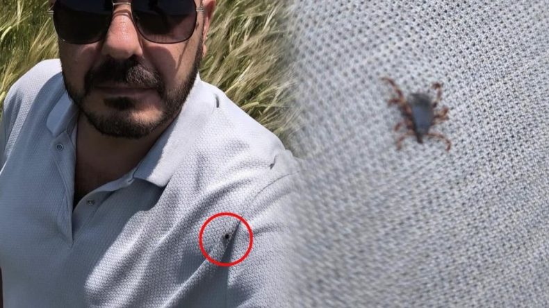 Üzerinden 25 keneyi temizledi! Fotoğraf çekerken fark etti