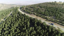 Valilik Duyurdu: Ormanlara 5 Ay Süreyle Giriş Yasaklandı