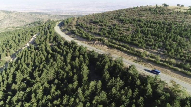 Valilik Duyurdu: Ormanlara 5 Ay Süreyle Giriş Yasaklandı