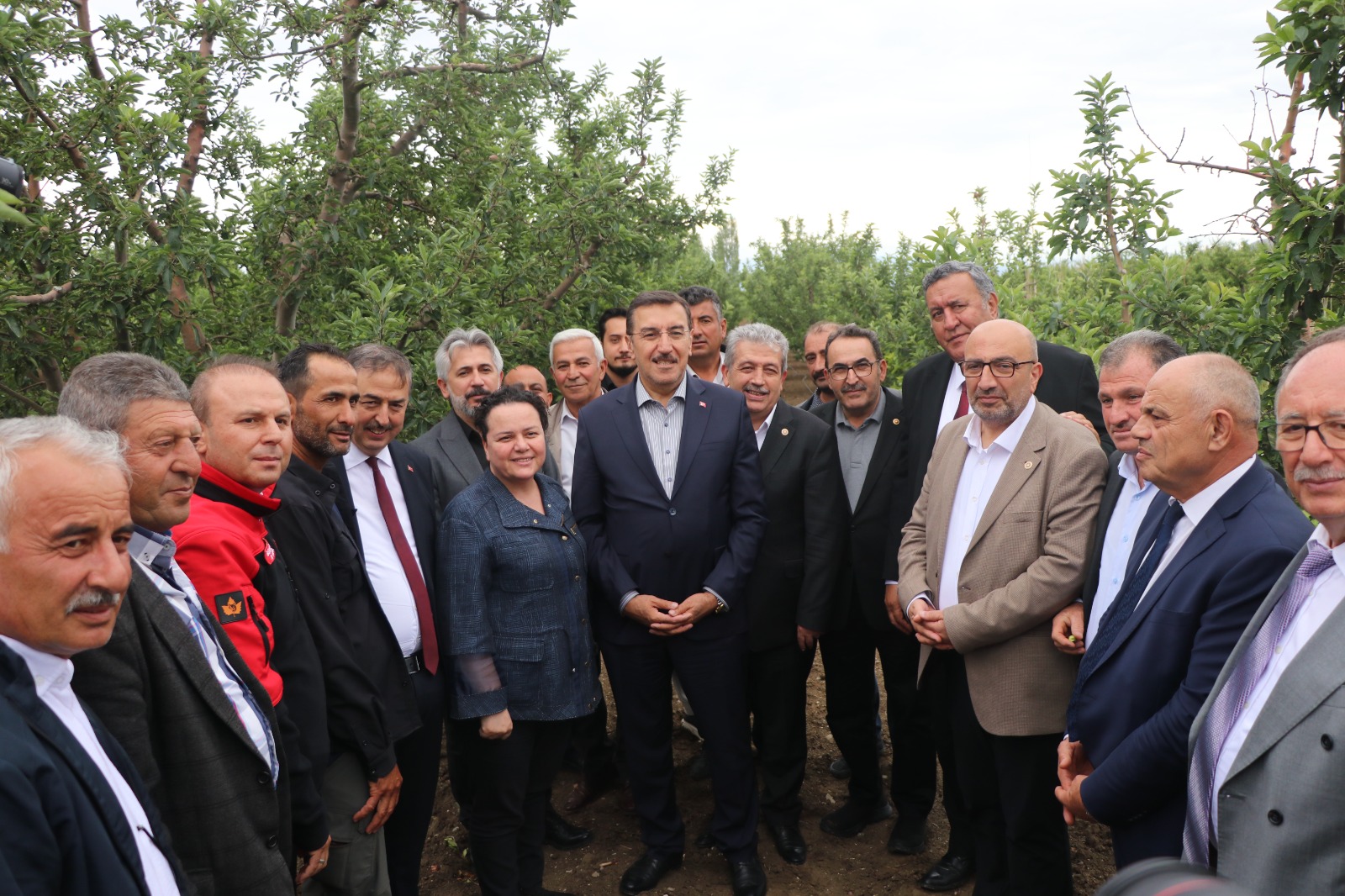 Zirai Don İncelemesi