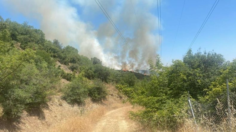 Yangın Bursa Kestel'de Tekrar Başladı