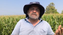 Yardım Çığlığı İsyana Dönüştü: Zaten Para Etmiyor Bir de Ölürse Vay Halimize