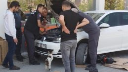 Yavru Kedileri Kurtarmak İçin İtfaiye Seferber Oldu