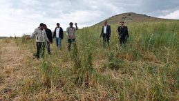 Yozgat Ayakta: ‘Şimdi de Onun Derdine Düştük’