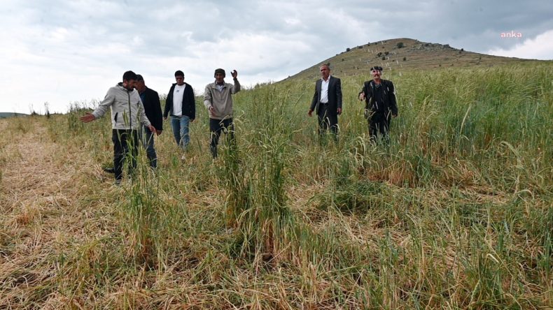 Yozgat Ayakta: ‘Şimdi de Onun Derdine Düştük’