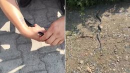 ‘Zararsız öldürmeyin’ dedikten birkaç saniye sonra neye uğradığını şaşırdı