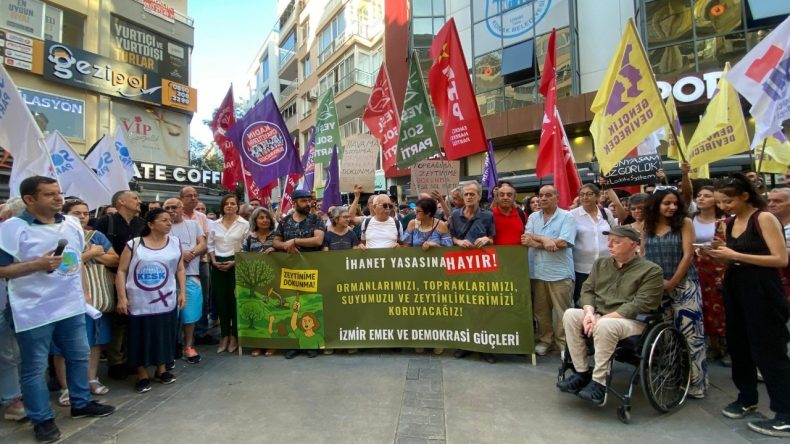 Zeytinlik Talan Yasasına Tepkiler Artıyor