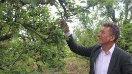 Zirai Don Maliyeti 21,5 Milyar TL; Çiftçiye Destek 1,1 Milyar Lira