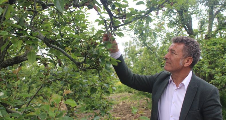Zirai Don Maliyeti 21,5 Milyar TL; Çiftçiye Destek 1,1 Milyar Lira