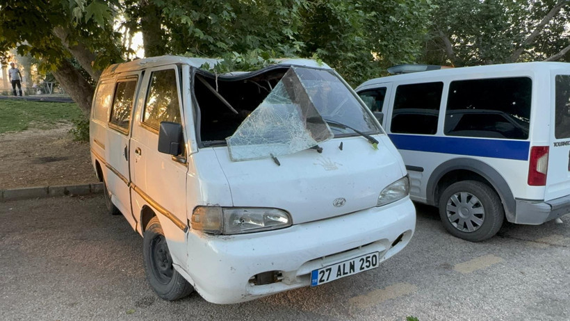 Piknikte devrilen ağaç