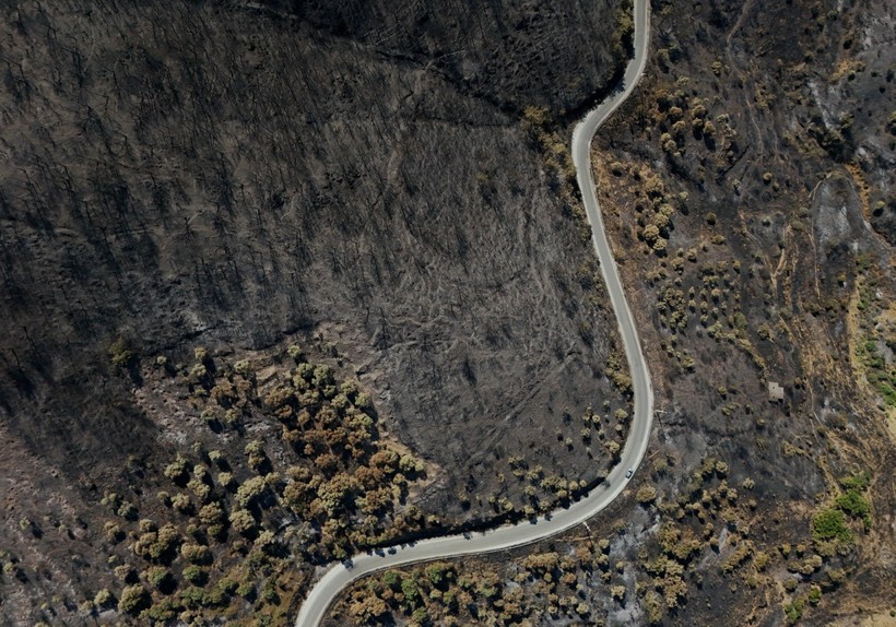 Yangın alanı