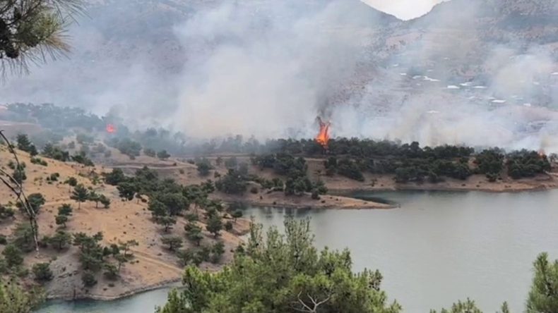Adıyaman'da Orman Yangını