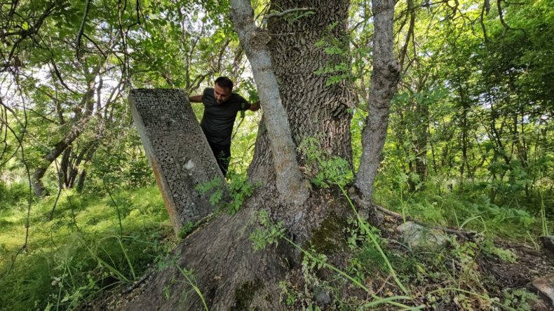 Asırlık Mezarlıklar Ağaçların Arasında Kaybolmuş Durumda