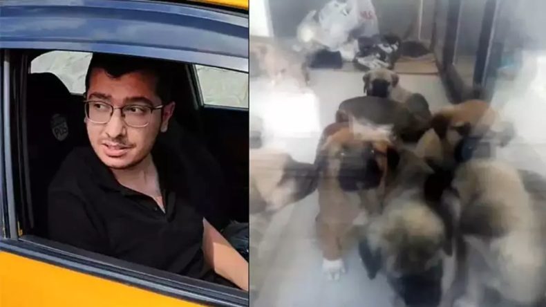 Bulunanlar Dehşete Düşürmüştü: O Veteriner Hakim Karşısında