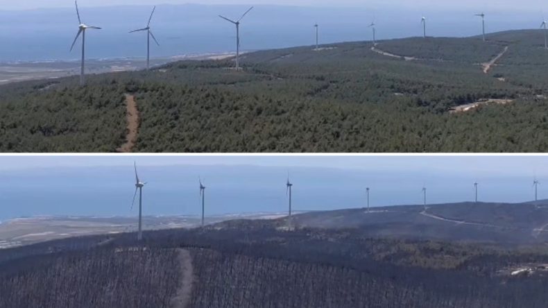 Burası birkaç gün önce ormandı! Şarköy'de yürek burkan görüntüler