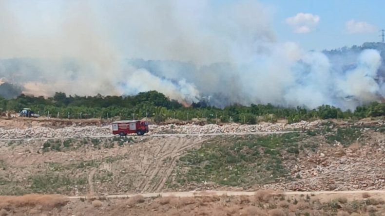 Bursa'da İki İlçede Orman Yangını