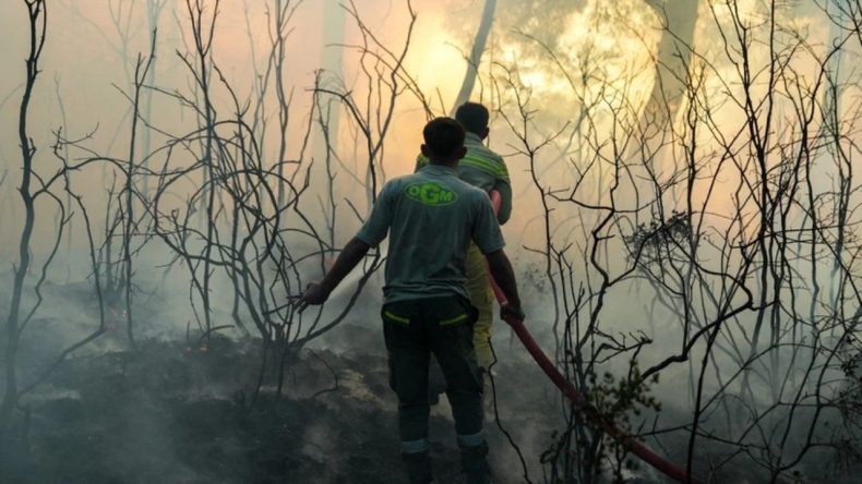 Camilerde Orman Yangınlarının Sonlanması İçin Dua Edildi