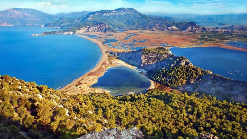 Caretta Caretta Yavrularının 70 Günlük Bekleyişi Sona Erdi