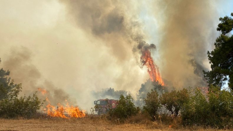 Çanakkale'de Yangın Alarmı: Dumanlar Yükseliyor