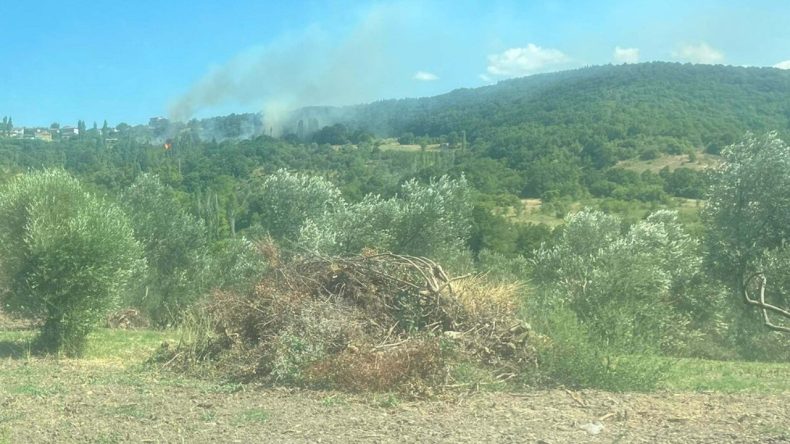 Çanakkale'deki Orman Yangınının Nedeni, Sigara İzmariti Oldu
