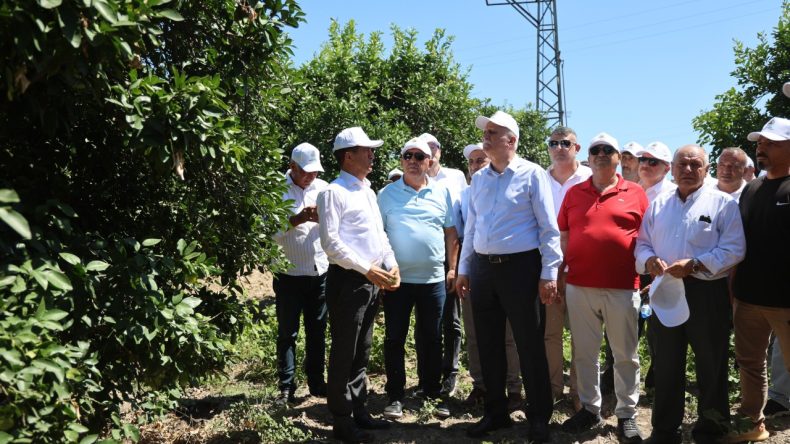 Don, Kuraklık ve Göç: Tarım Sektörü Zor Günler Geçiriyor