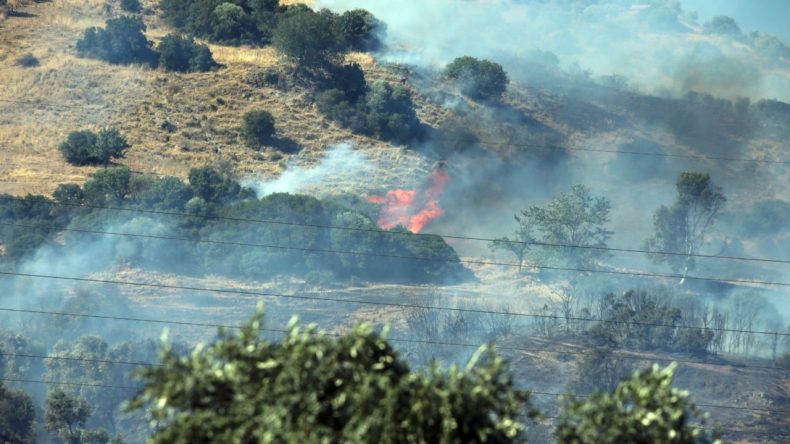 Efeler’de 30 Dönüm Alan Kül Oldu, İki Kişi Gözaltına Alındı