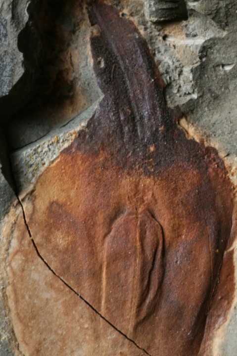 Araştırma Gözlemi