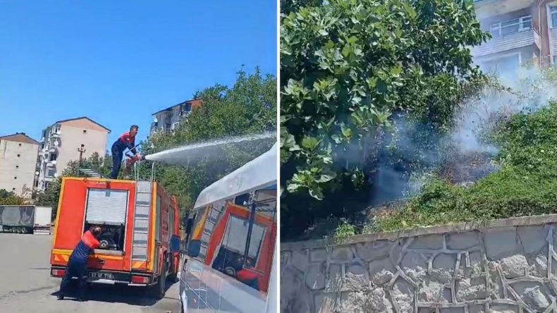 Elektrik Akımına Kapılan Karga Yangına Yol Açtı