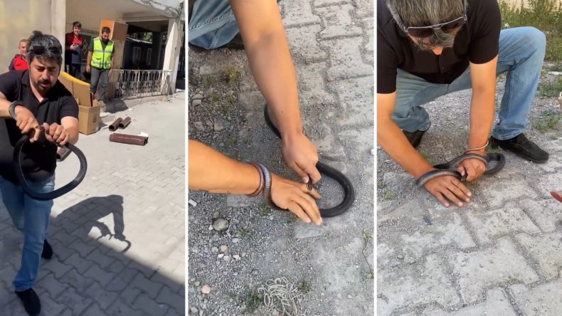 Eve Giren Yılanı Yakalamak İsterken Parmak Yaraladı