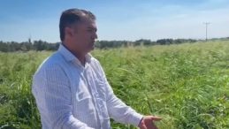 Fiyatlara Tepkiler Artıyor: Kahvede Çay İçebilmek İçin 5 Kilo Satmak Gerek