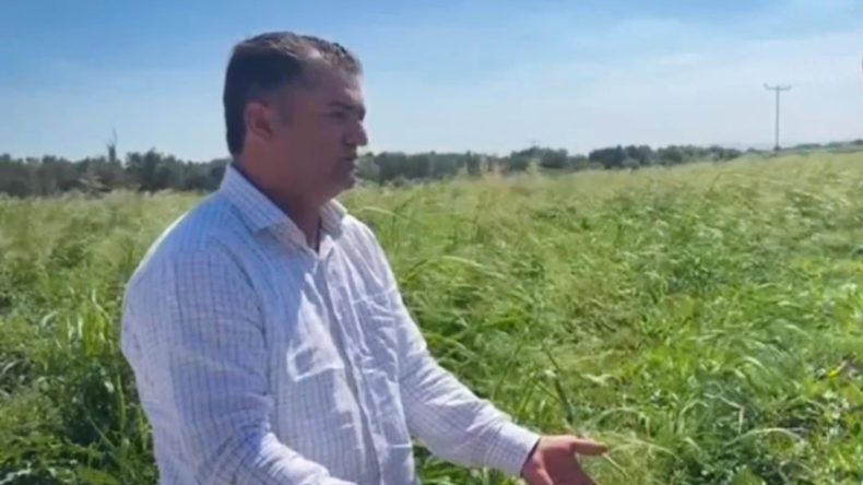 Fiyatlara Tepkiler Artıyor: Kahvede Çay İçebilmek İçin 5 Kilo Satmak Gerek