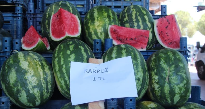 Halde 1 markette 14 lira