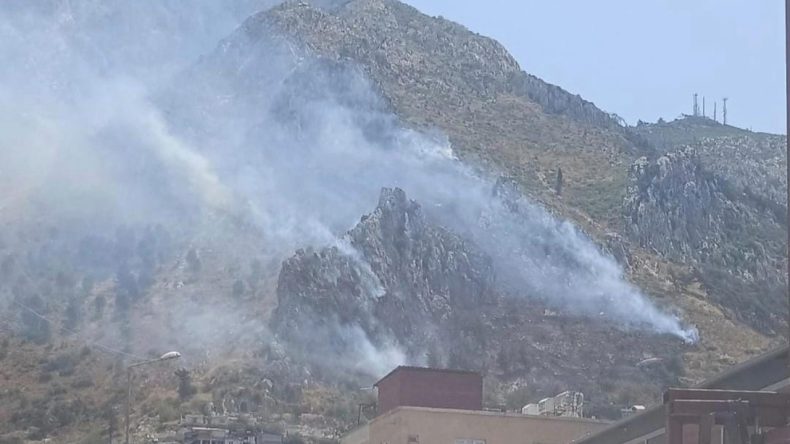Hatay'da Yeniden Orman Yangını