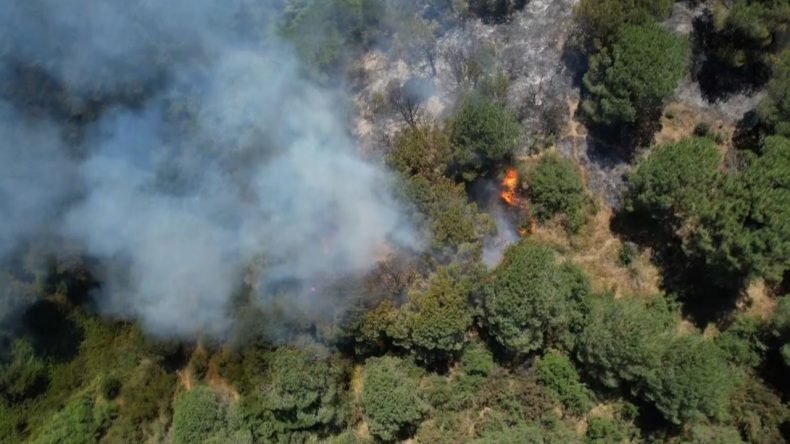 İstanbul’da Orman Yangını