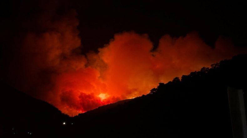 İzmir Ödemiş'te Orman Yangını Patlak Verdi