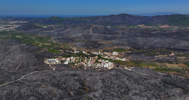 İzmir'de Ormanları Kül Eden İhmal Ortaya Çıktı