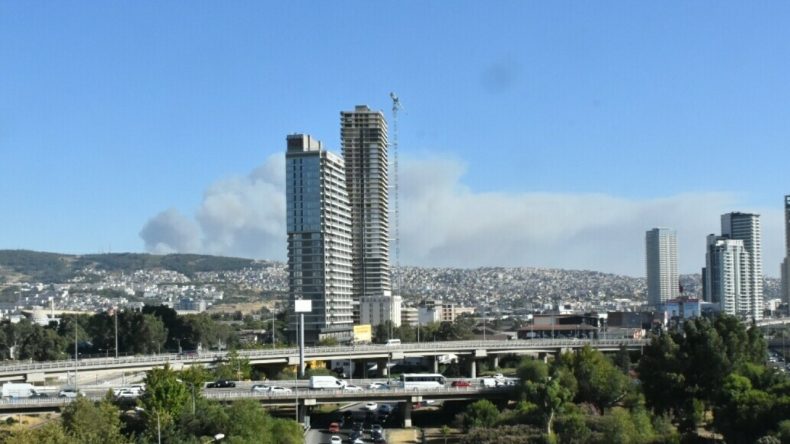 İzmir'de Yeni Bir Orman Yangını Başladı
