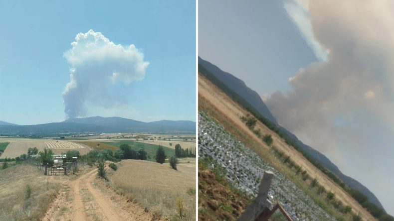 Konya'da Orman Yangını