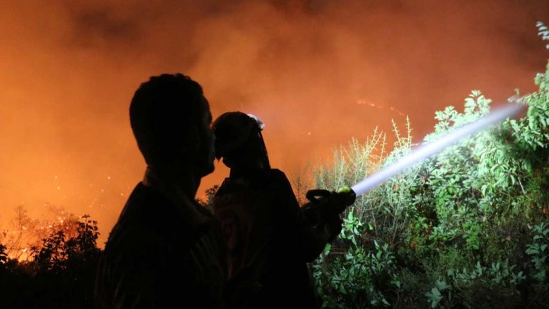 Lazkiye'de 10 Gün Süren Orman Yangını Türkiye Sınırında