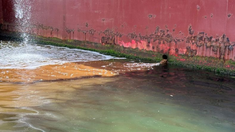Marmara'daki Bu Görüntüye Milyonluk Ceza