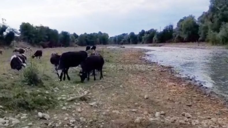 Mudurnu Çayı'nda Kirlilik Problemi