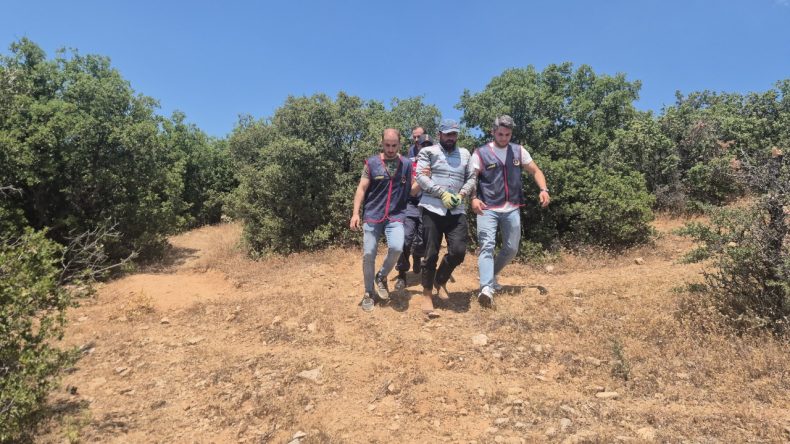 Ormanda Saklanarak Yakalanmaktan Kaçınan Adam, Yaban Hayvanlarıyla Mücadele Etti