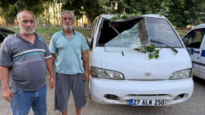 Piknikte Ağaç Devrildi, 11 Yaralı