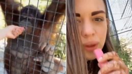 Rus Boksörün Gösterdiği Sorumsuz Davranış: Orangutan İştahını Kaybetti