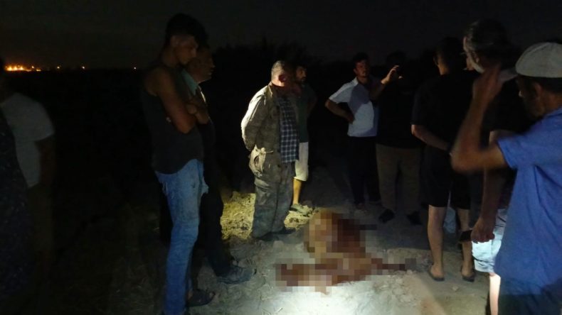 Sanayi Bölgesinden Geçen Dereden Su İçen 65 Hayvan Hayatını Kaybetti