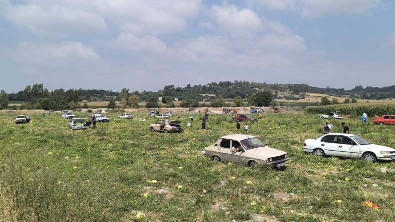 Satamayınca Bedava Dağıttı, Vatandaş Bagajları Doldurdu: Allah Razı Olsun