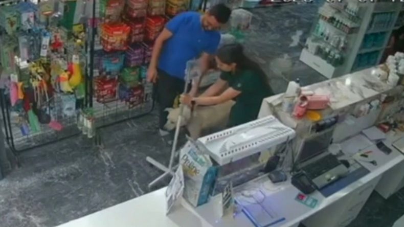 Serumlu Köpeğe Deprem Anında Veteriner Koştu